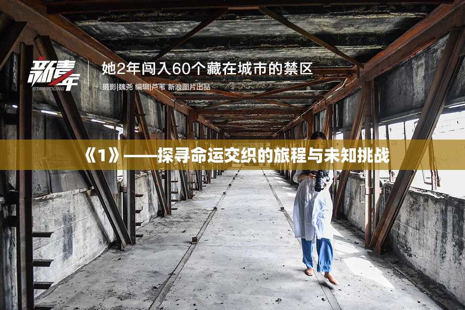《1》——探寻命运交织的旅程与未知挑战