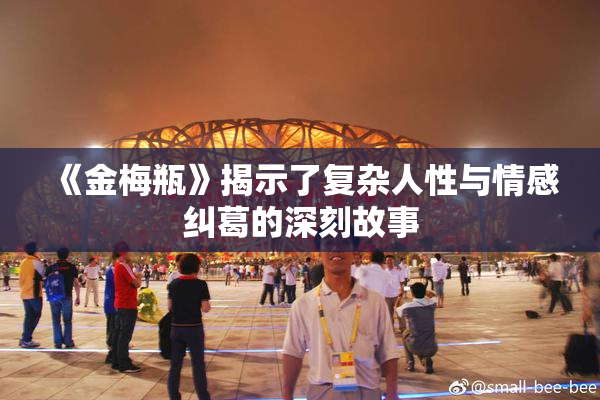 《金梅瓶》揭示了复杂人性与情感纠葛的深刻故事
