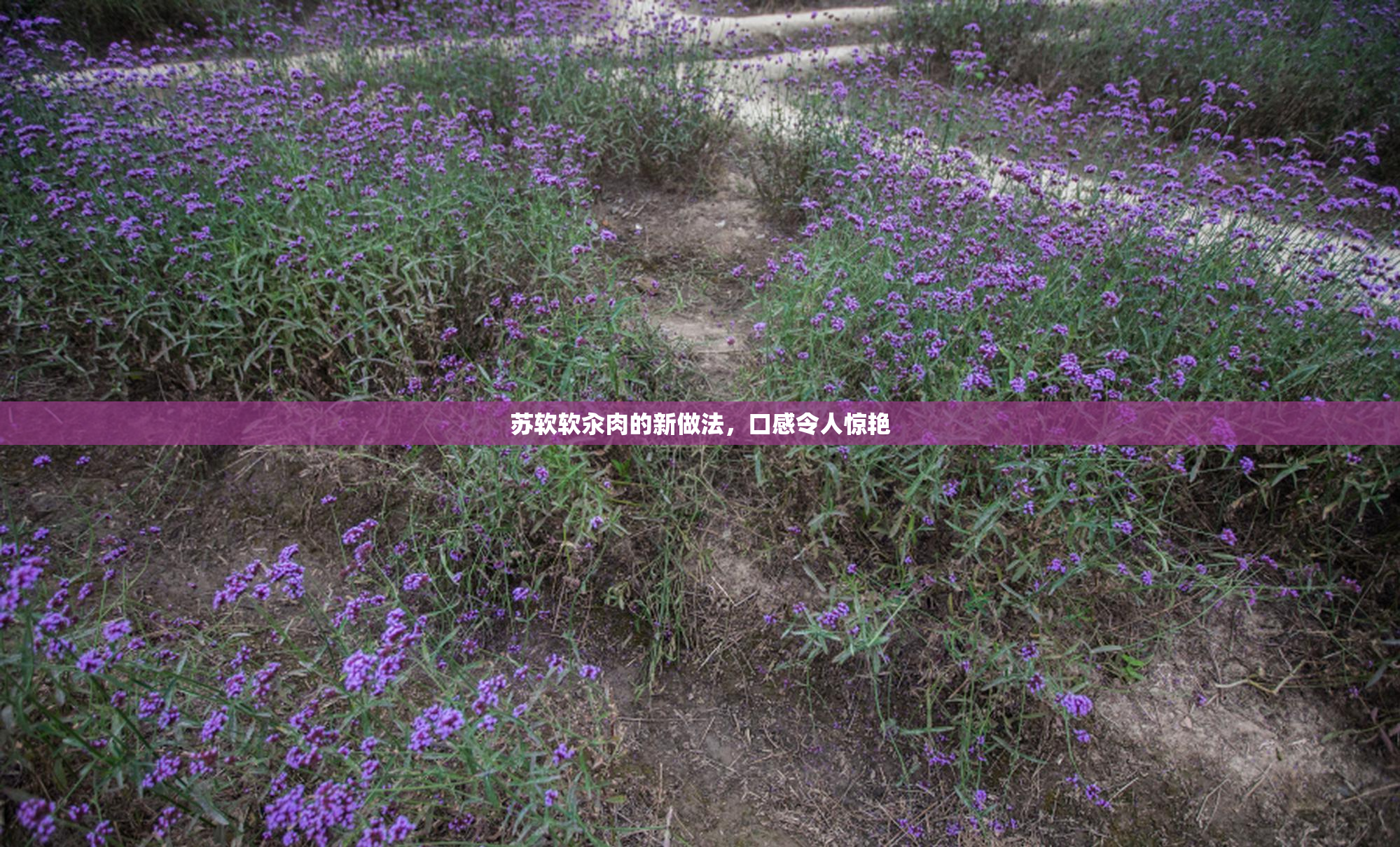 苏软软汆肉的新做法，口感令人惊艳