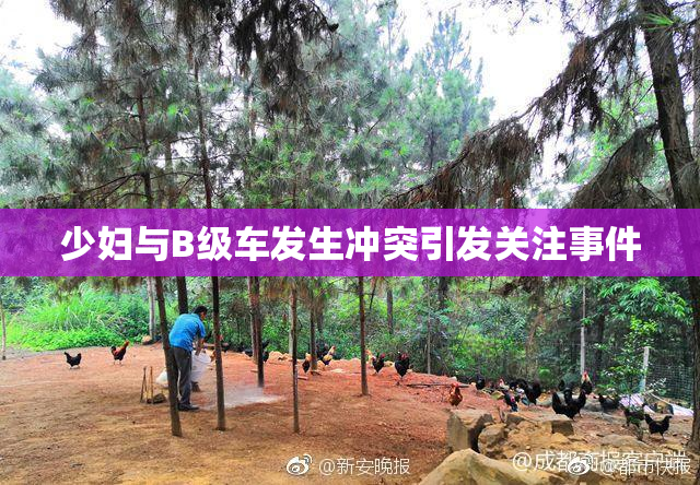 少妇与B级车发生冲突引发关注事件