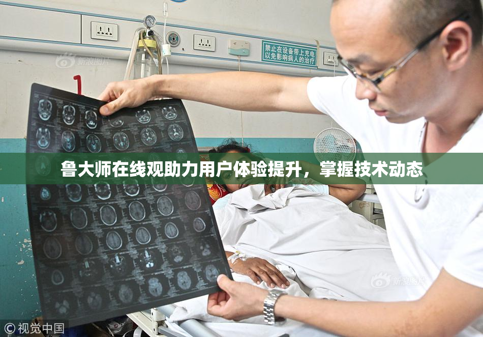 鲁大师在线观助力用户体验提升，掌握技术动态