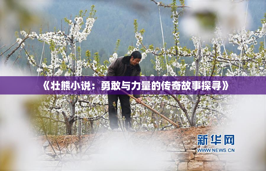 《壮熊小说：勇敢与力量的传奇故事探寻》