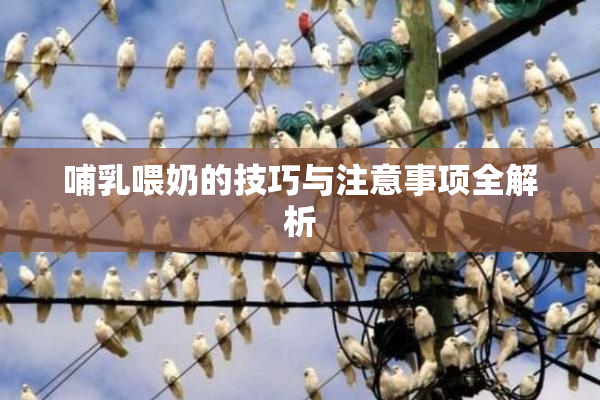 哺乳喂奶的技巧与注意事项全解析
