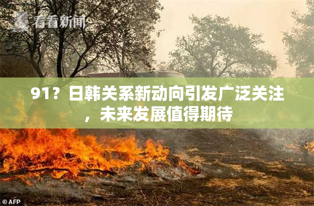 91？日韩关系新动向引发广泛关注，未来发展值得期待