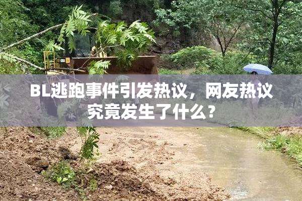 BL逃跑事件引发热议，网友热议究竟发生了什么？