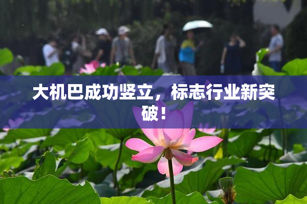 大机巴成功竖立，标志行业新突破！