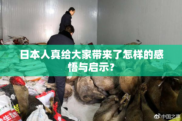 日本人真给大家带来了怎样的感悟与启示？