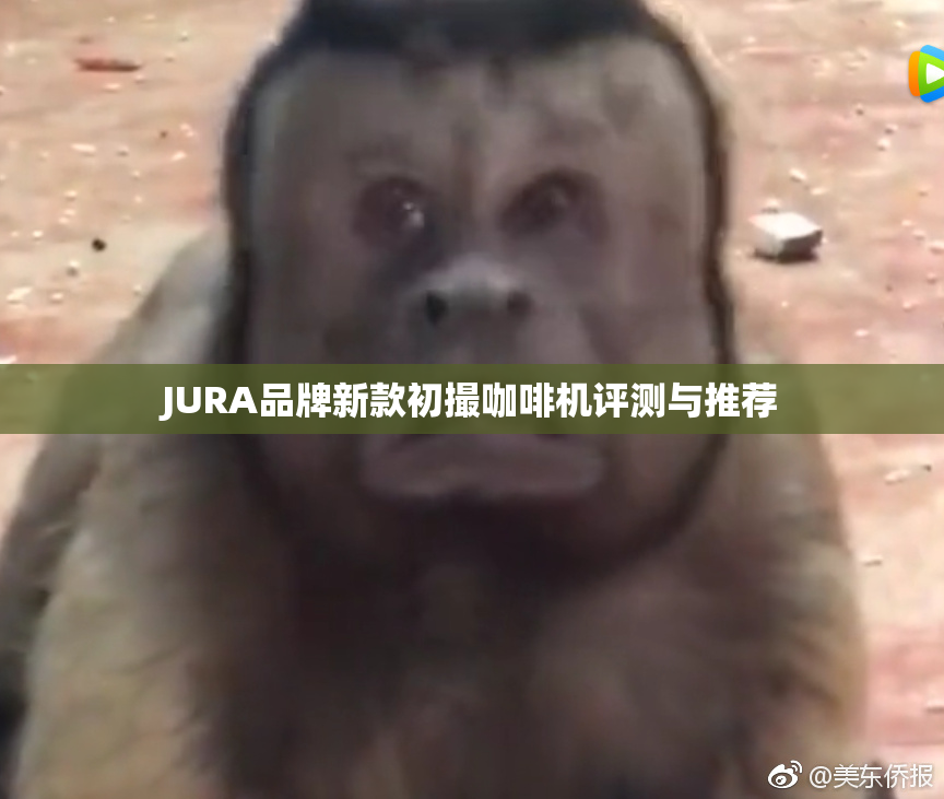 JURA品牌新款初撮咖啡机评测与推荐