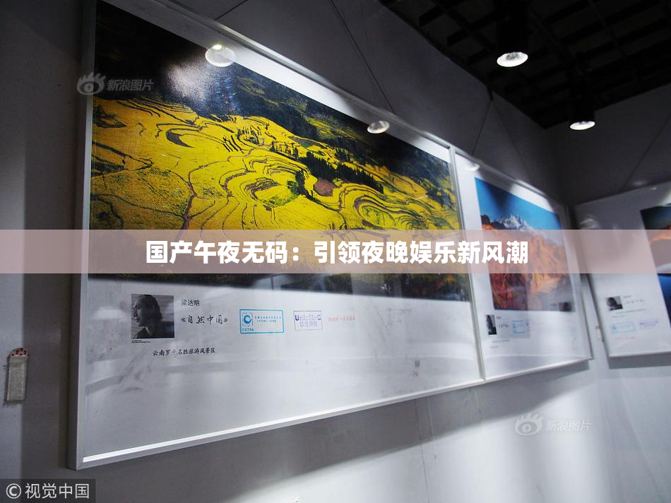国产午夜无码：引领夜晚娱乐新风潮