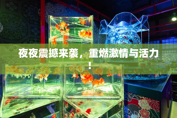 夜夜震撼来袭，重燃激情与活力！