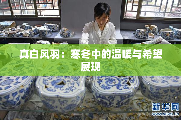 真白风羽：寒冬中的温暖与希望展现