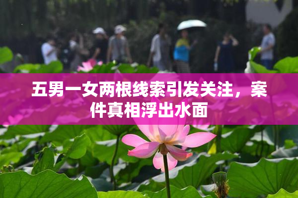 五男一女两根线索引发关注，案件真相浮出水面