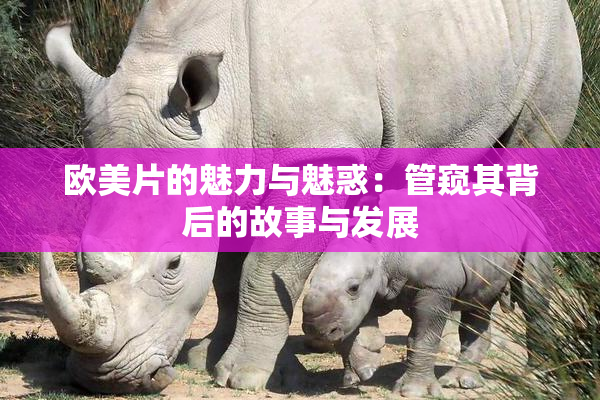 欧美片的魅力与魅惑：管窥其背后的故事与发展