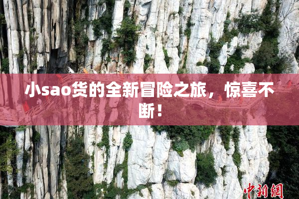 小sao货的全新冒险之旅，惊喜不断！