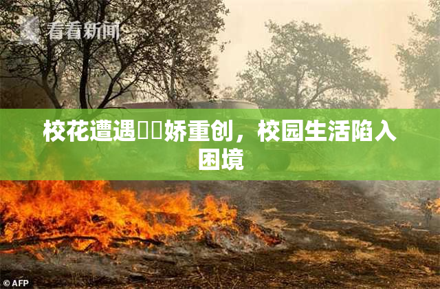 校花遭遇❌‌娇重创，校园生活陷入困境