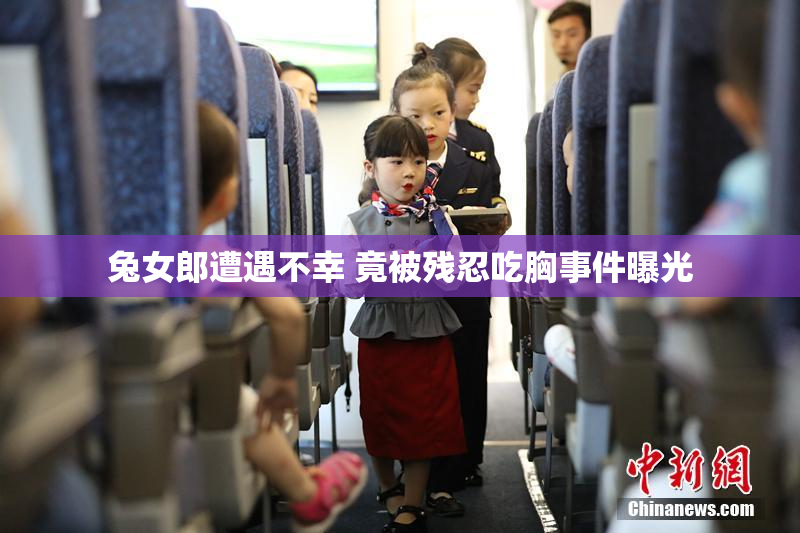 兔女郎遭遇不幸 竟被残忍吃胸事件曝光