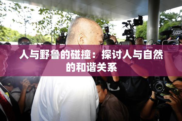 人与野鲁的碰撞：探讨人与自然的和谐关系