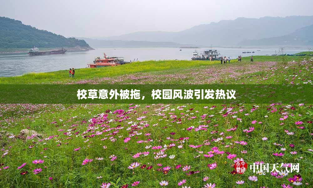 校草意外被拖，校园风波引发热议