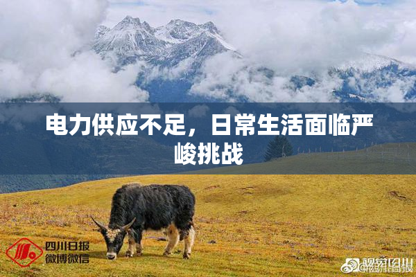 电力供应不足，日常生活面临严峻挑战