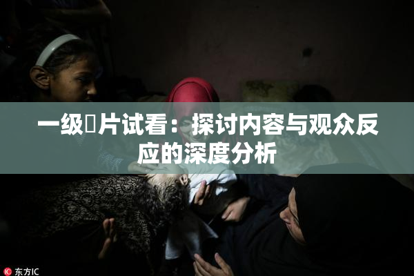 一级婬片试看：探讨内容与观众反应的深度分析
