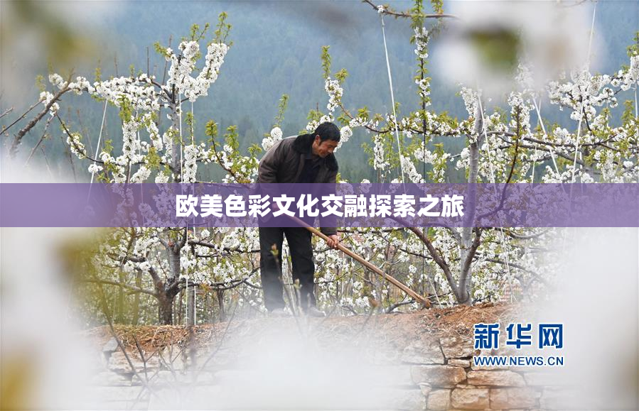欧美色彩文化交融探索之旅