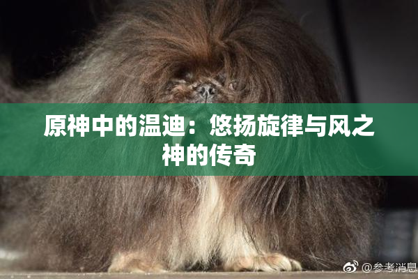 原神中的温迪：悠扬旋律与风之神的传奇
