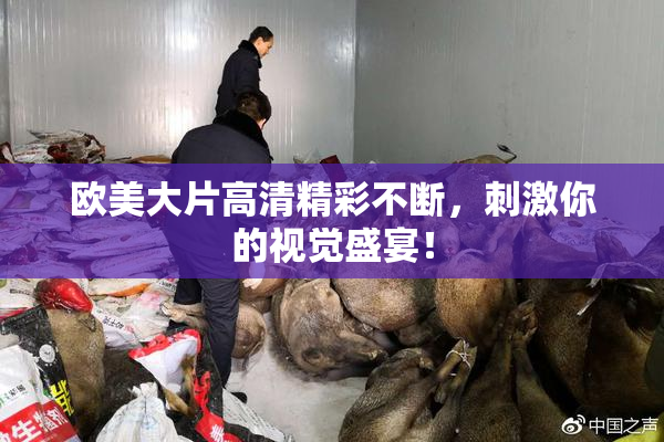 欧美大片高清精彩不断，刺激你的视觉盛宴！