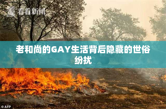 老和尚的GAY生活背后隐藏的世俗纷扰