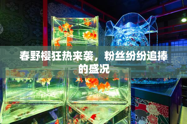 春野樱狂热来袭，粉丝纷纷追捧的盛况
