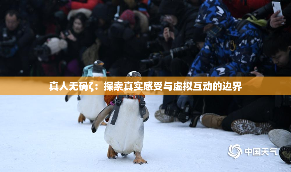 真人无码ζ：探索真实感受与虚拟互动的边界