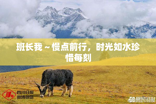 班长我～慢点前行，时光如水珍惜每刻