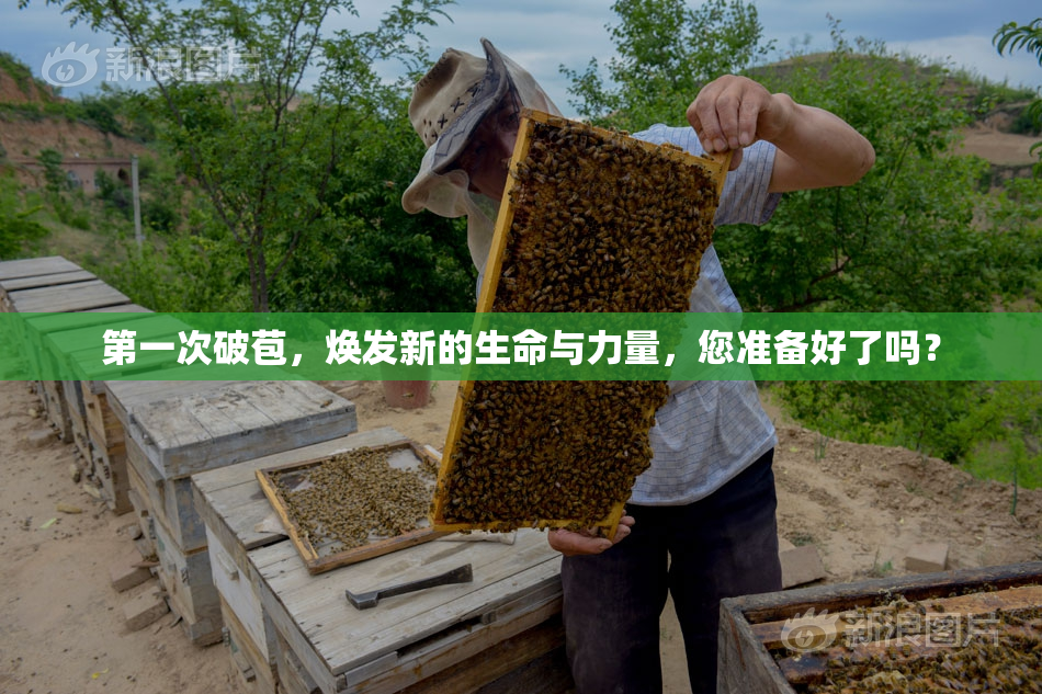 第一次破苞，焕发新的生命与力量，您准备好了吗？