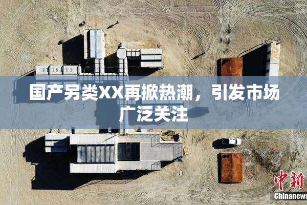 国产另类XX再掀热潮，引发市场广泛关注