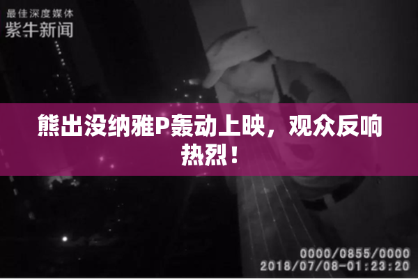 熊出没纳雅P轰动上映，观众反响热烈！
