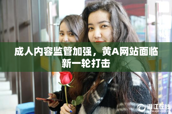 成人内容监管加强，黄A网站面临新一轮打击