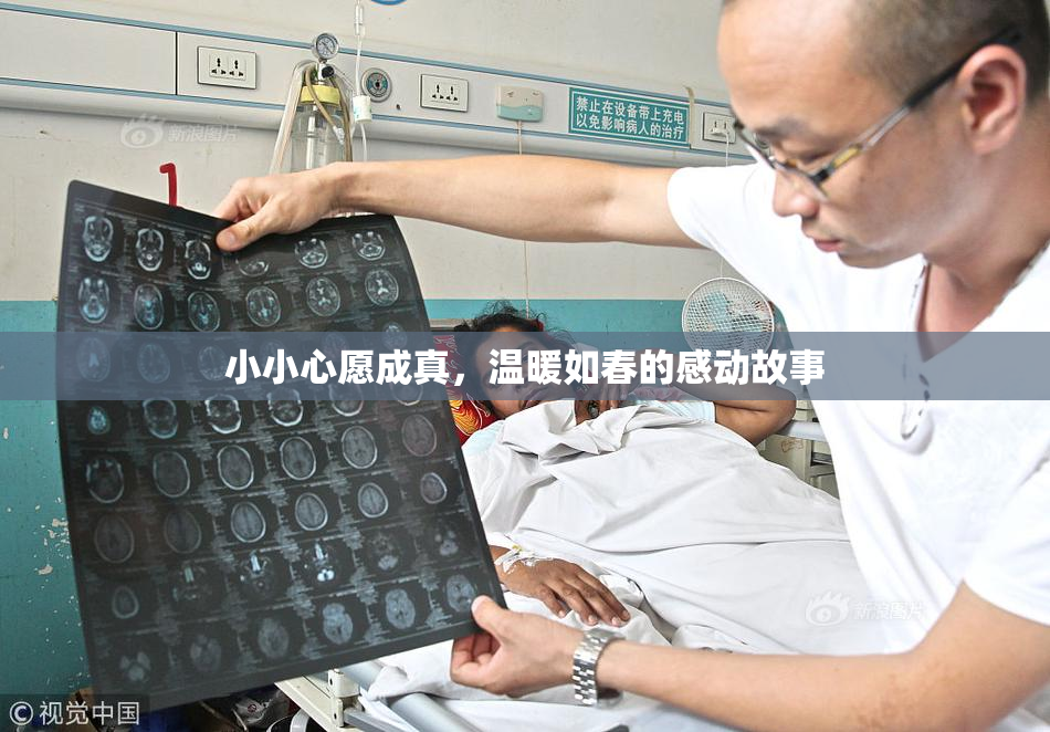 小小心愿成真，温暖如春的感动故事