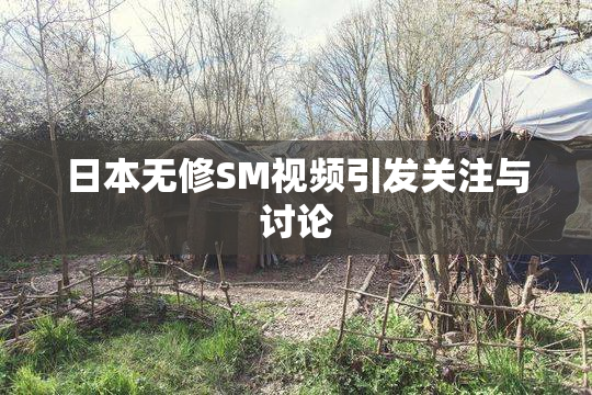日本无修SM视频引发关注与讨论