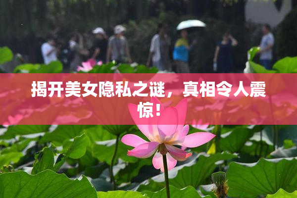 揭开美女隐私之谜，真相令人震惊！