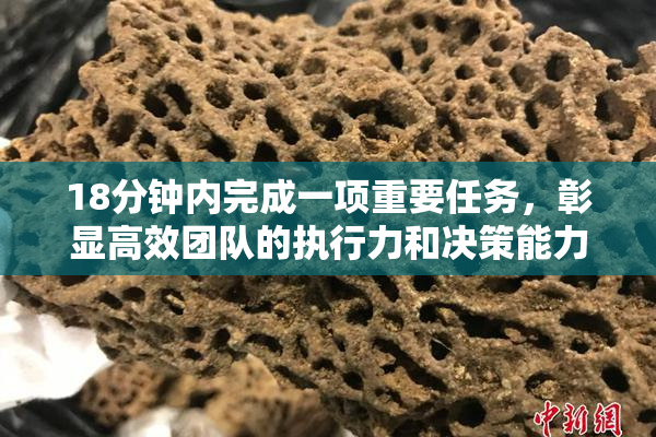 18分钟内完成一项重要任务，彰显高效团队的执行力和决策能力