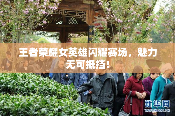 王者荣耀女英雄闪耀赛场，魅力无可抵挡！