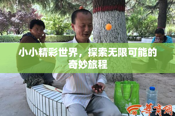 小小精彩世界，探索无限可能的奇妙旅程