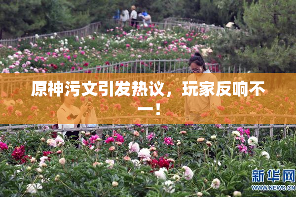 原神污文引发热议，玩家反响不一！