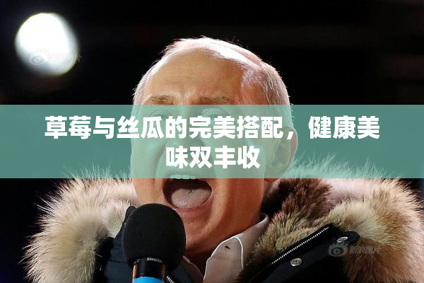 草莓与丝瓜的完美搭配，健康美味双丰收