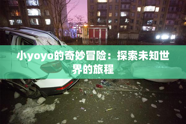 小yoyo的奇妙冒险：探索未知世界的旅程
