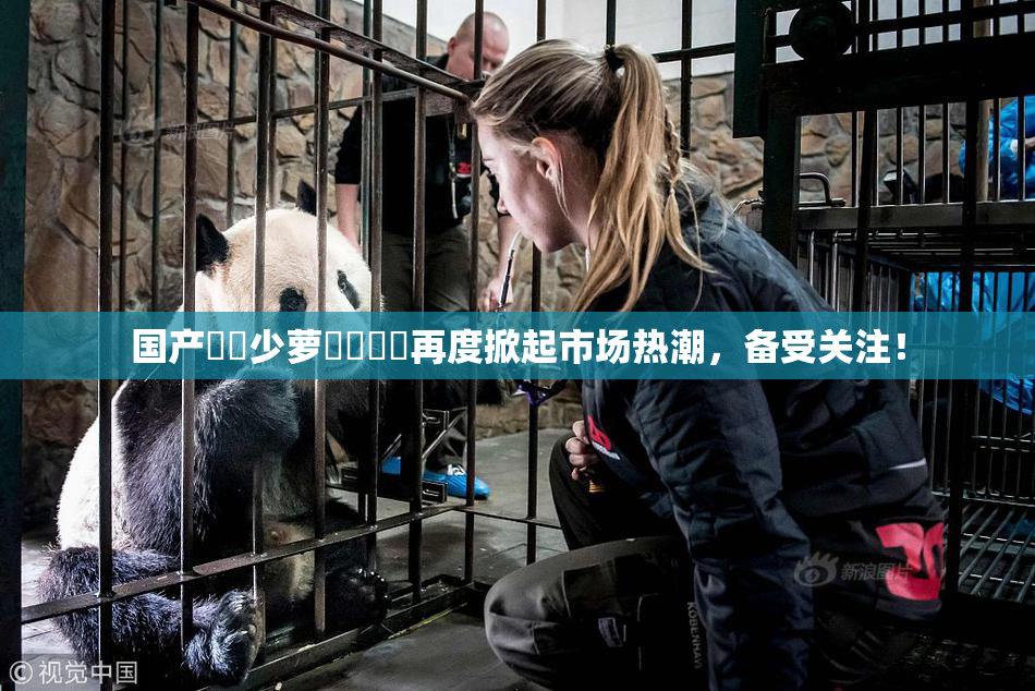 国产❌‌少萝❌‌❌‌再度掀起市场热潮，备受关注！