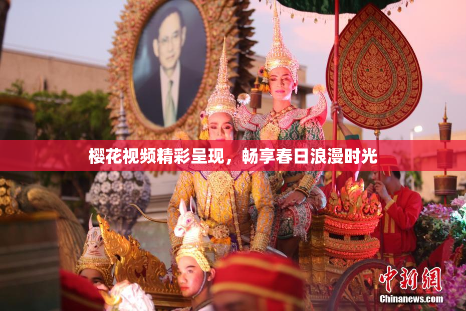 樱花视频精彩呈现，畅享春日浪漫时光