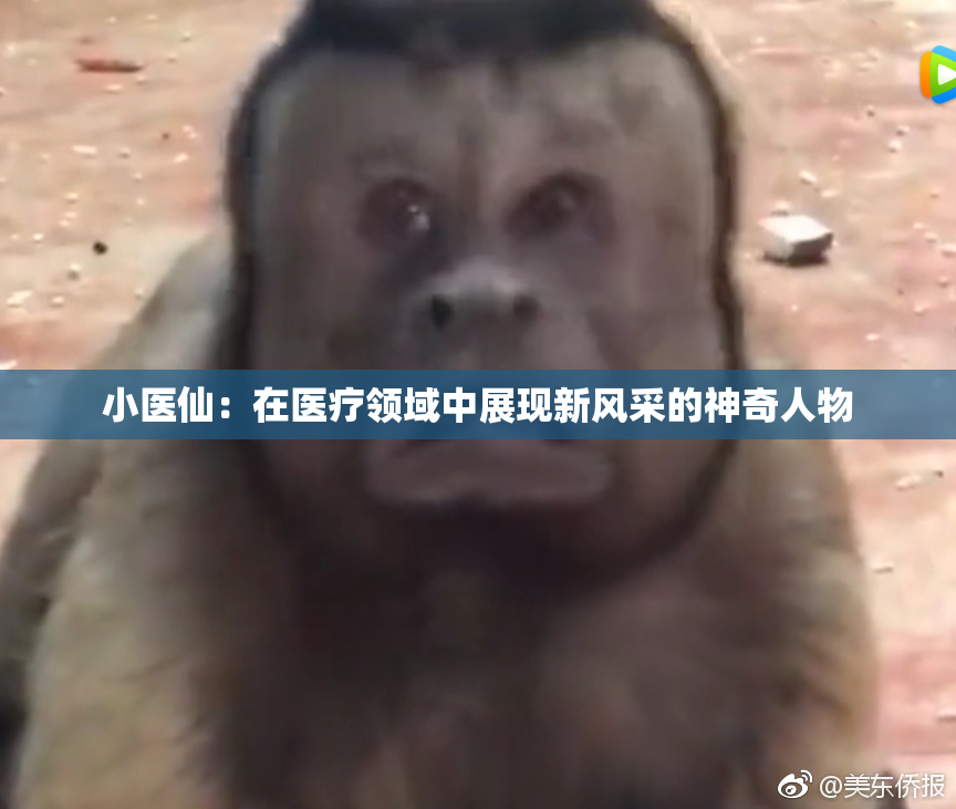小医仙：在医疗领域中展现新风采的神奇人物