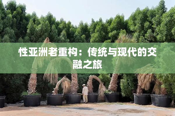 性亚洲老重构：传统与现代的交融之旅