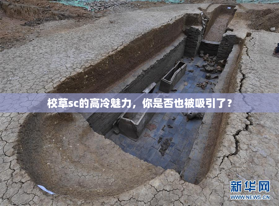 校草sc的高冷魅力，你是否也被吸引了？