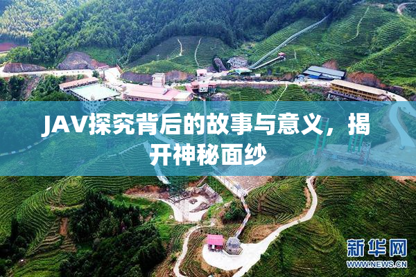 JAV探究背后的故事与意义，揭开神秘面纱